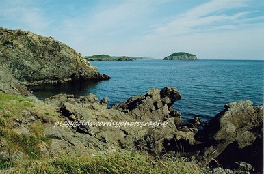 Picture